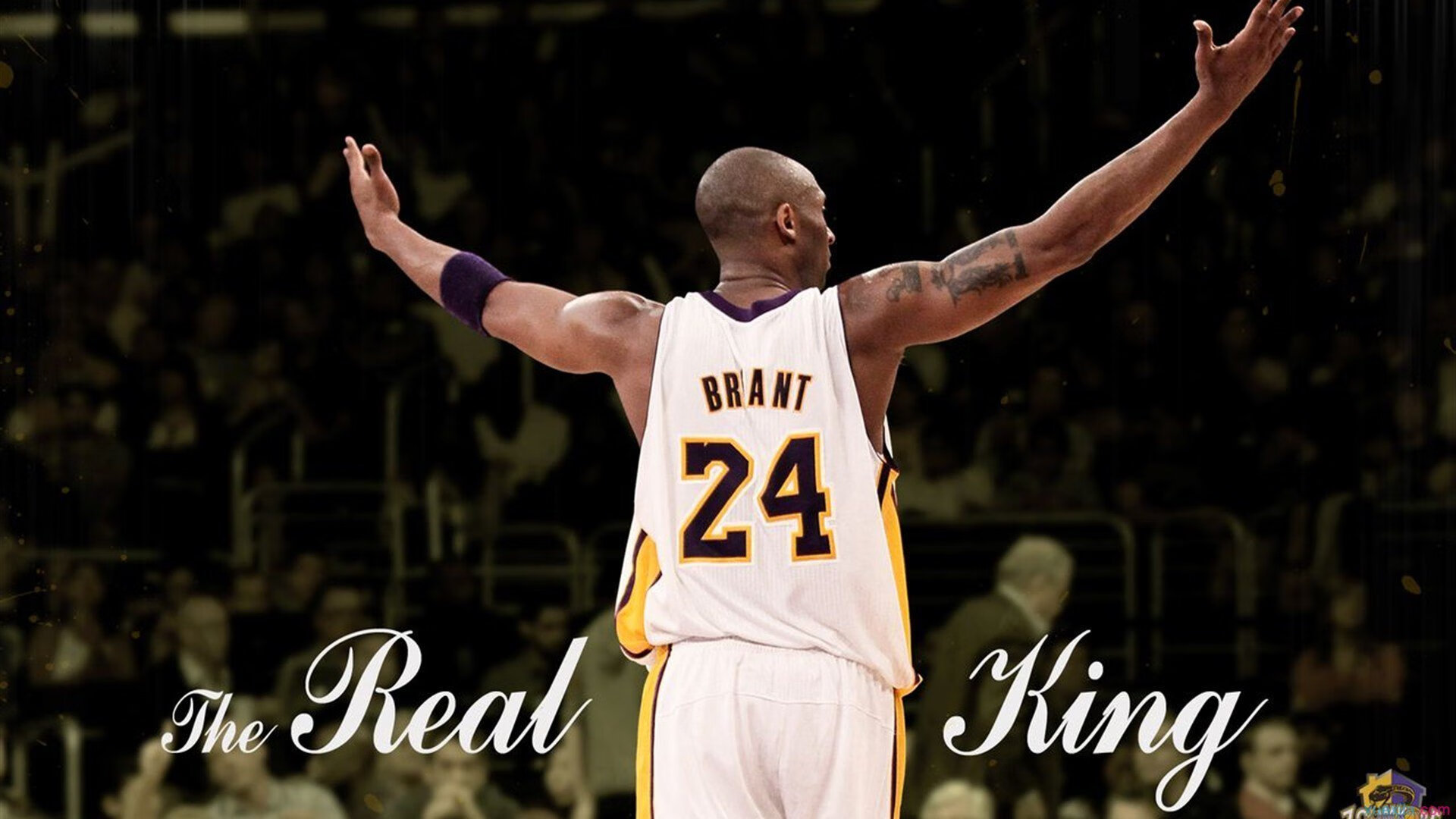 开云体育下载-国王旧将退役仪式安排引全队致敬，国王退役号码